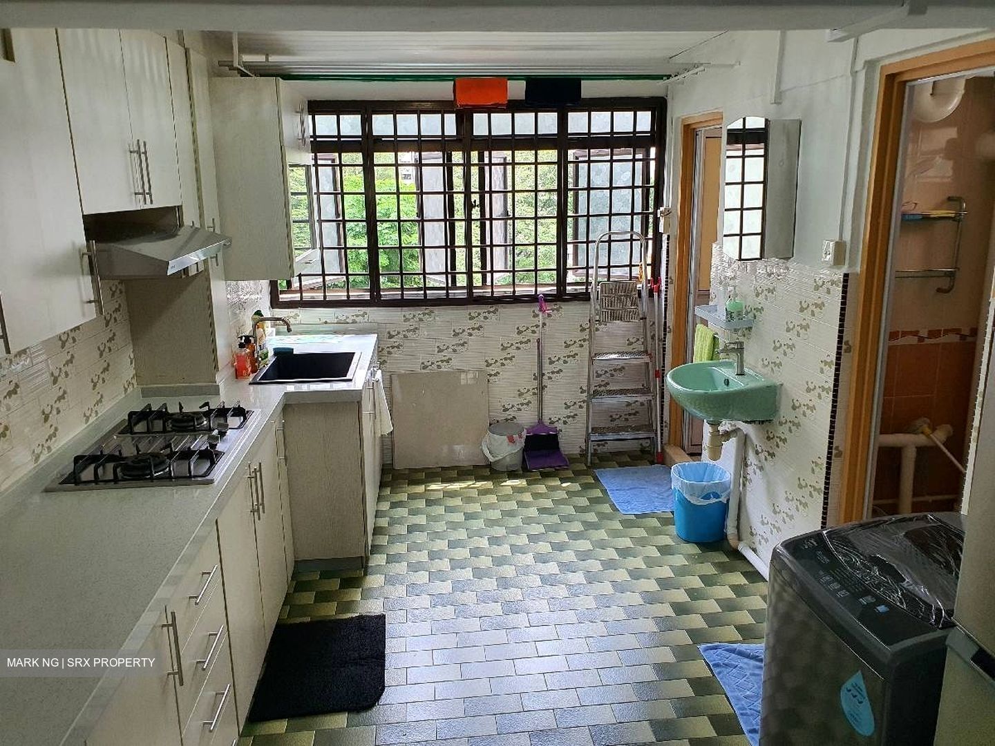 Holland Avenue (Queenstown),  #352438361